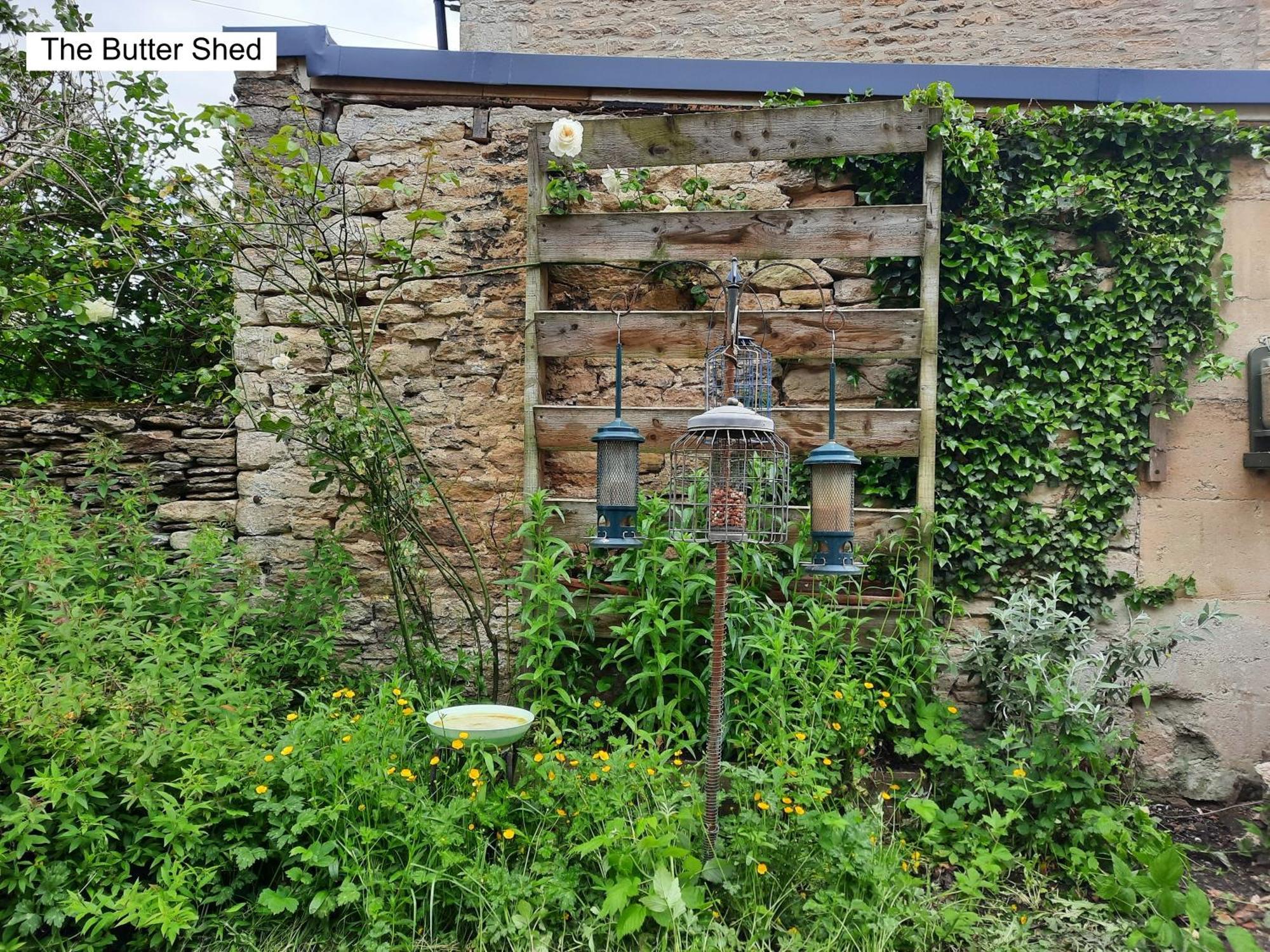 Cotswold Cottage Bed & Breakfast Luckington Zewnętrze zdjęcie