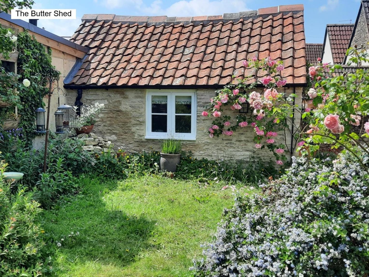 Cotswold Cottage Bed & Breakfast Luckington Zewnętrze zdjęcie